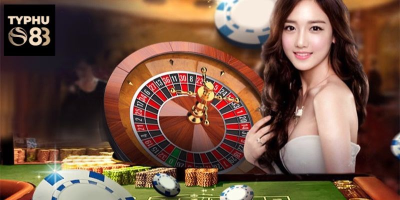 hinh-anh-co-hoi-hop-tac-cung-dai-ly-typhu88--huong-dn-tu-a-z-3438-0