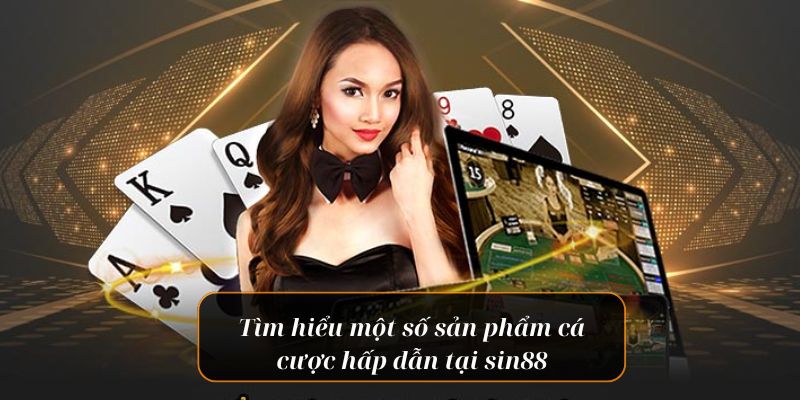hinh-anh-gioi-thieu-sin88-nha-cai-uy-tin-hang-dau-a-au-2961-1