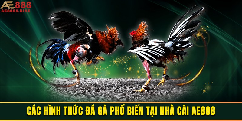 hinh-anh-da-ga-ae888-cap-nhat-cac-tran-choi-ke-day-kich-tinh-3578-1