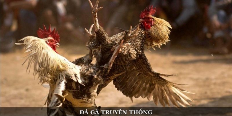 hinh-anh-cwin--trai-nghiem-ca-cuoc-dinh-cao-doi-thuong-cuc-chat-4752-2
