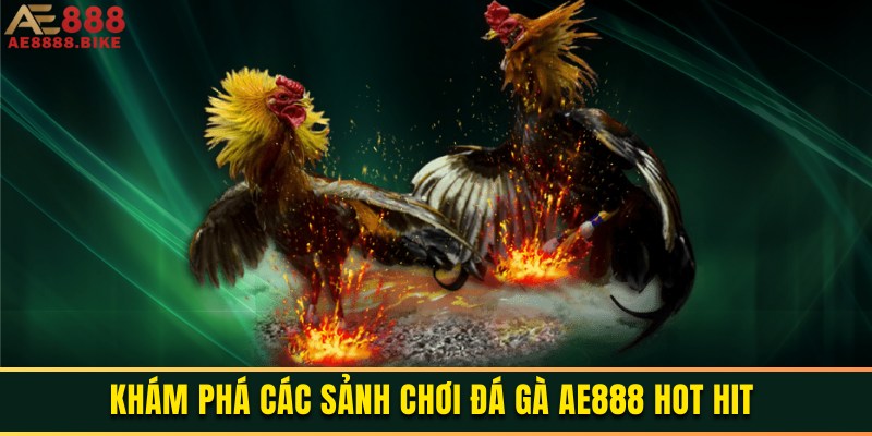hinh-anh-da-ga-ae888-cap-nhat-cac-tran-choi-ke-day-kich-tinh-3578-0