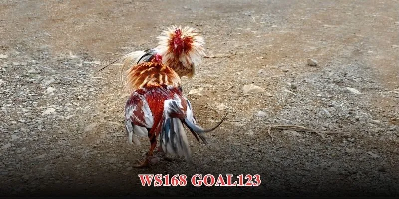 hinh-anh-ws168-goal123-kham-pha-cach-choi-game-bai-doi-thuong-hap-dn-3727-0