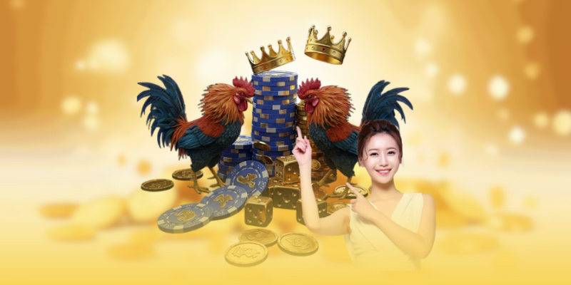 hinh-anh-tong-quan-sanh-da-ga-truc-tuyen-tai-sodo66-5004-1