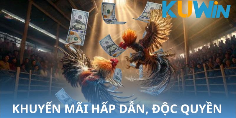 hinh-anh-sanh-aog-da-ga-khong-gian-ca-cuoc-thu-hut-so-1-hien-nay-3125-2
