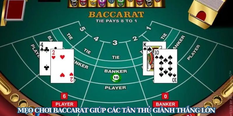 hinh-anh-meo-choi-baccarat-bach-chien-bach-thang-tu-cao-thu-leo88vn-3211-1