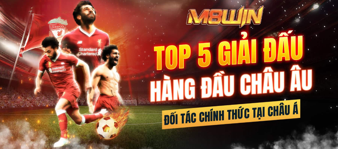 hinh-anh-dieu-kien-va-dieu-khoan-khi-tham-gia-ca-cuoc-tai-m8win--nhung-dieu-can-biet-truoc-khi-choi-3540-0