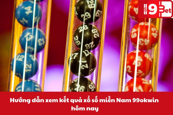 hinh-anh-ket-qua-xo-so-mien-nam-hom-nay-tai-99okwin-3184-3