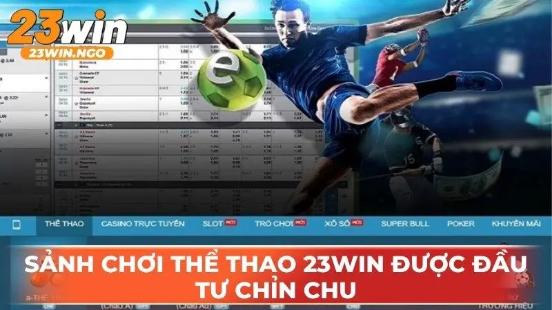 hinh-anh-meo-ca-cuoc-the-thao-23win-danh-cho-nguoi-moi--dat-cua-co-tinh-toan-4587-0