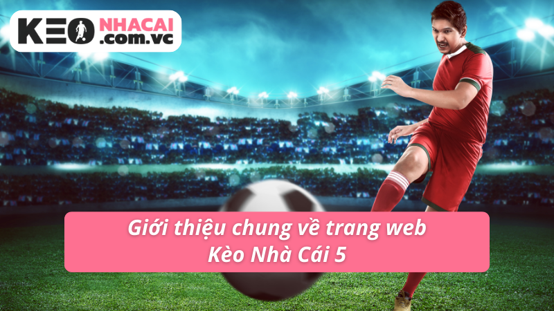 hinh-anh-bat-mi-tat-tan-tat-ve-keo-nha-cai-5-hot-nhat-moi-thoi-dai-3816-0