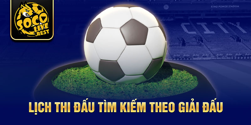 hinh-anh-lich-thi-dau-bong-da-cap-nhat-nhanh-cung-socolive-3231-0