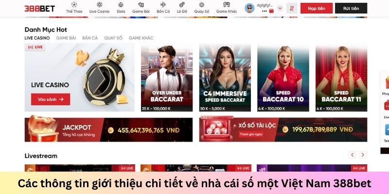 hinh-anh-gioi-thieu-388bet-nha-cai-so-mot-viet-nam-hien-nay-3815-0
