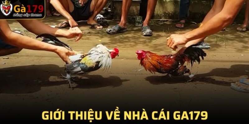 hinh-anh-ga179-tong-quan-tat-tan-tat-ve-trang-web-uy-tin-nhat-2822-0