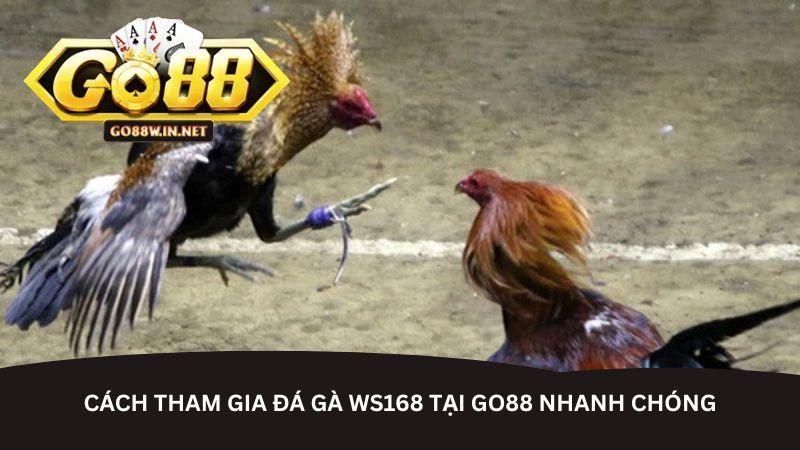 hinh-anh-da-ga-ws168-tai-go88--san-choi-dinh-cao-cho-dam-me-ke-thu-5434-2