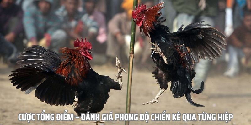hinh-anh-trai-nghiem-tro-choi-giai-tri-dinh-cao-tai-sanh-game-da-ga-3305-2