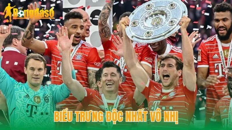 hinh-anh-theo-dau-bayern-munich-tu-san-allianz-arena-den-man-hinh-bongdaso-4656-1