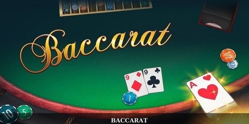hinh-anh-live-casino-winvn--thien-duong-giai-tri-cho-bet-thu-3407-2