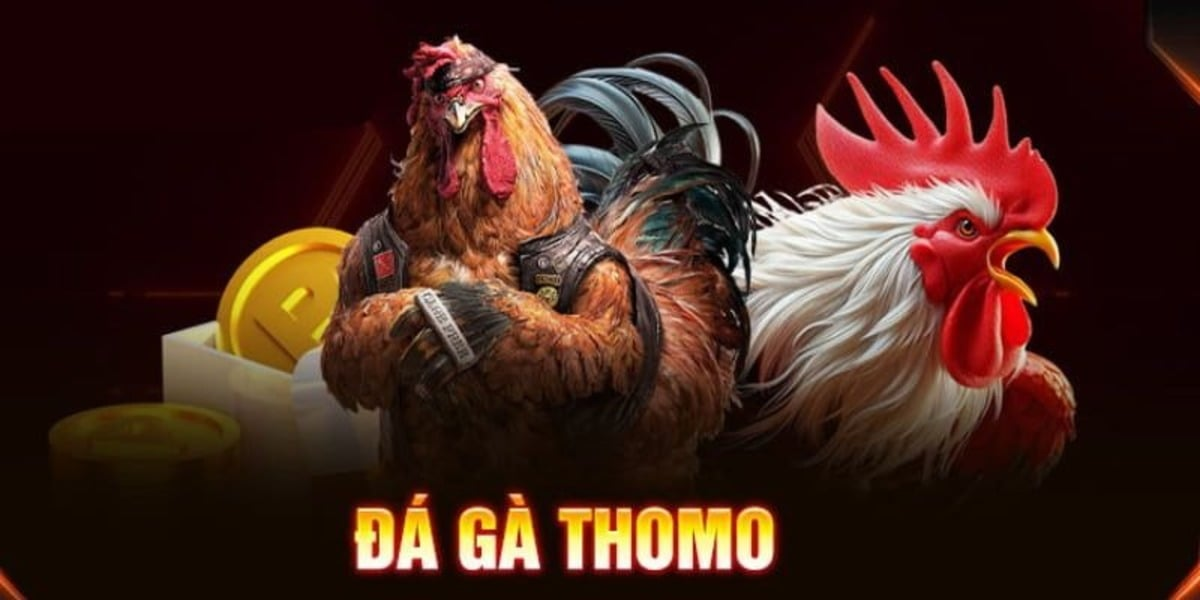 hinh-anh-so-sanh-da-ga-thomo-va-da-ga-campuchia--dau-la-su-lua-chon-tot-nhat-4628-0