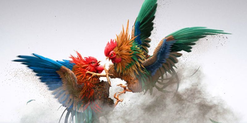hinh-anh-thuat-ngu-da-ga-luu-y-khi-su-dung-de-tranh-nham-ln-5312-0