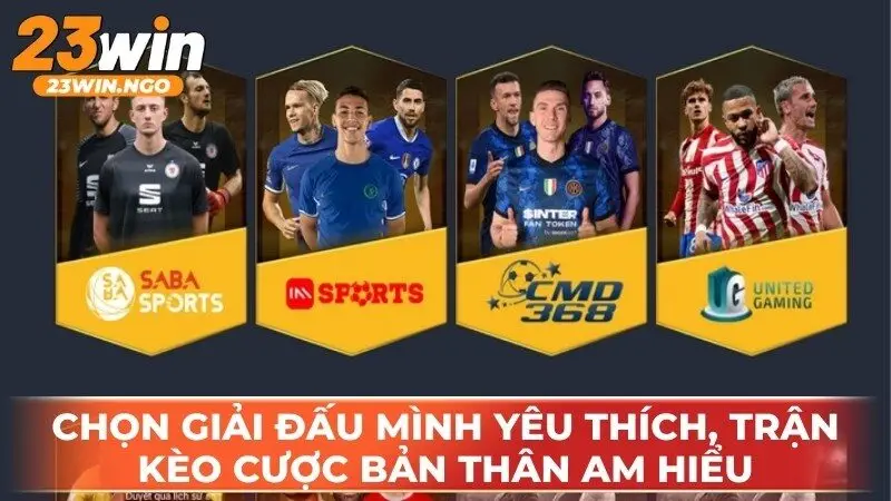hinh-anh-meo-ca-cuoc-the-thao-23win-danh-cho-nguoi-moi--dat-cua-co-tinh-toan-4587-2