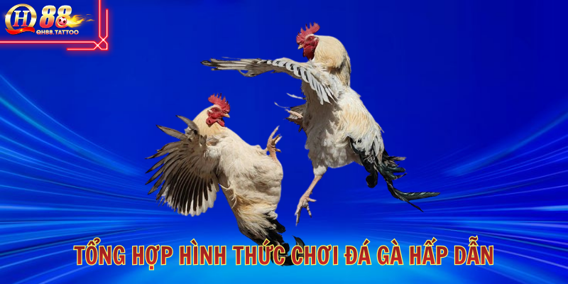 hinh-anh-da-ga-truc-tiep-thoa-man-voi-nhung-tran-dau-mau-lua-5486-1
