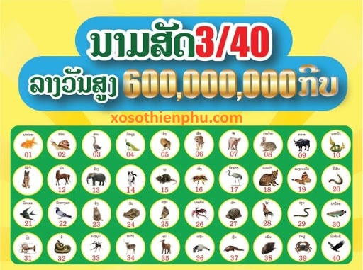 hinh-anh-huong-dan-that-chi-tiet-cach-thuc-tham-gia-xo-so-truc-tuyen-4003-0