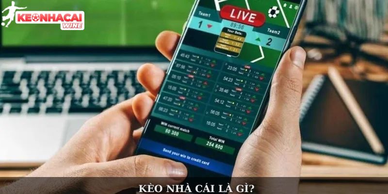 hinh-anh-tat-tan-tat-nhung-dieu-bet-thu-can-biet-ve-keo-nha-cai-3600-0