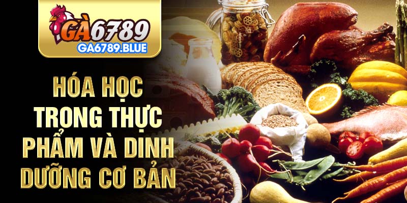hinh-anh-hoa-hoc-trong-thuc-pham-kham-pha-vi-giac-thu-vi-2929-0