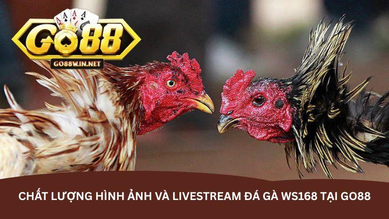 hinh-anh-da-ga-ws168-tai-go88--san-choi-dinh-cao-cho-dam-me-ke-thu-5434-0