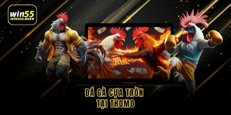 hinh-anh-da-ga-thomo--thien-duong-tran-dau-kich-tinh-tai-campuchia-5291-2