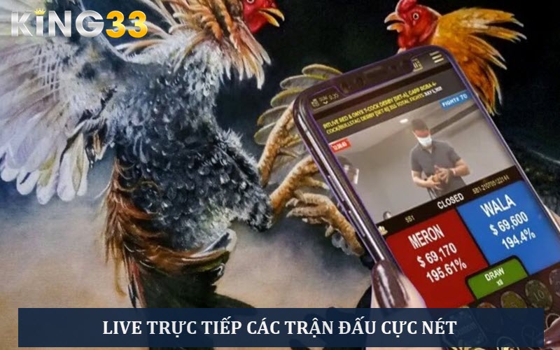 hinh-anh-da-ga-thomo-suc-hut-manh-liet-voi-cac-ke-thu-lao-lang-3497-2