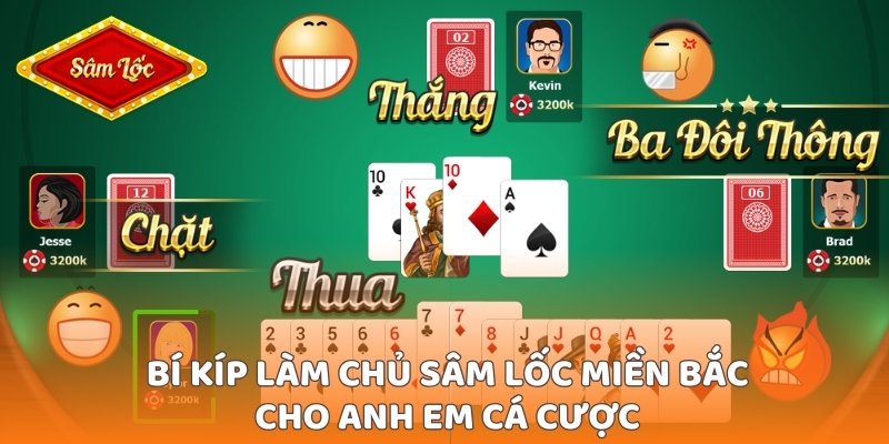 hinh-anh-tai-sam-loc-mien-bac--huong-dn-chuan-chi-tiet-tu-a-den-z-3610-2
