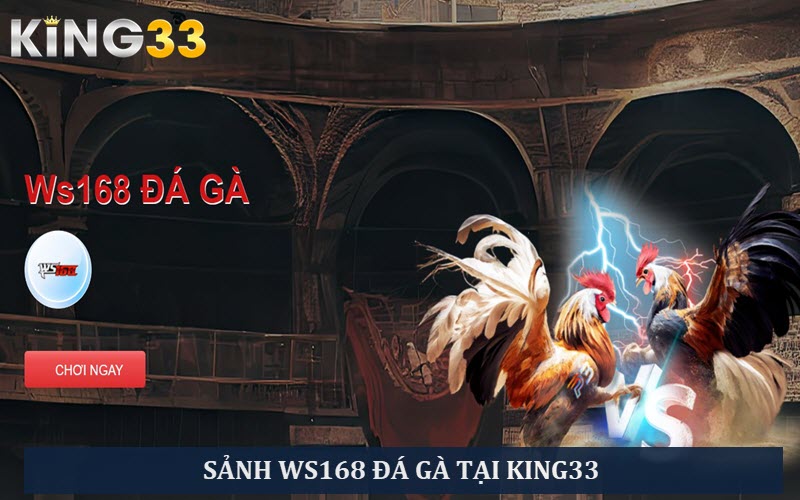 hinh-anh-da-ga-thomo-suc-hut-manh-liet-voi-cac-ke-thu-lao-lang-3497-1