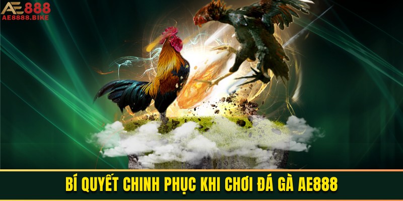 hinh-anh-da-ga-ae888-cap-nhat-cac-tran-choi-ke-day-kich-tinh-3578-2