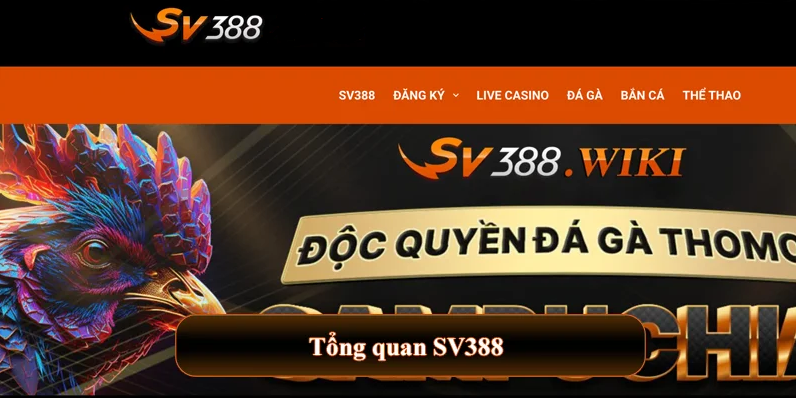 hinh-anh-dang-ky-sv388--buoc-khoi-dau-tham-gia-ca-cuoc-dinh-cao-4683-0