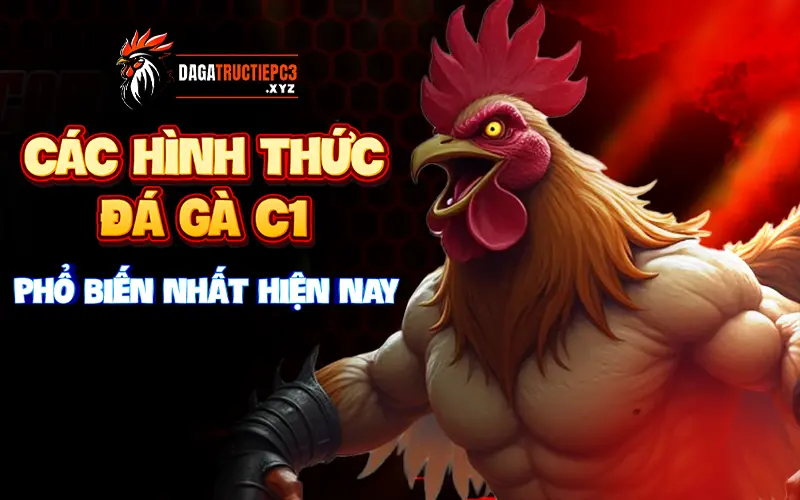 hinh-anh-huong-dan-thao-tac-don-gian-cho-nguoi-choi-dang-nhap-da-ga-c1-4466-0