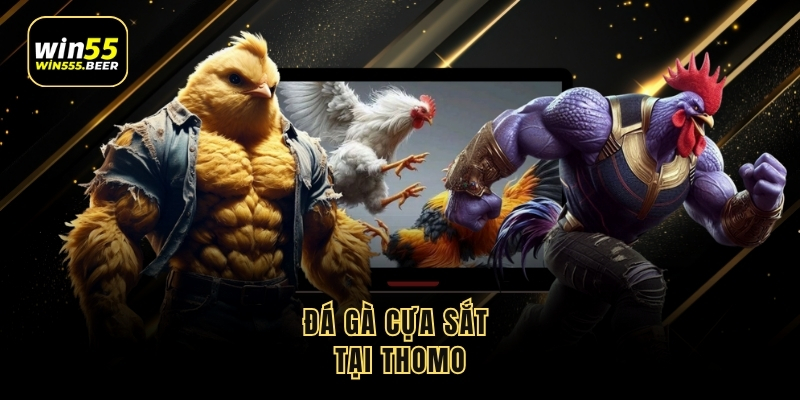 hinh-anh-da-ga-thomo--thien-duong-tran-dau-kich-tinh-tai-campuchia-5291-1