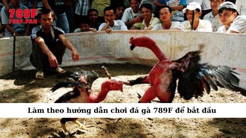 hinh-anh-huong-dn-choi-da-ga-789f-tu-nhap-mon-tro-thanh-cao-thu-3679-2