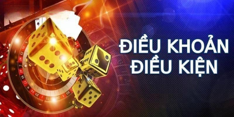 hinh-anh-dieu-khoan-va-dieu-kien-nn88-quy-dinh-cho-thanh-vien-3208-1