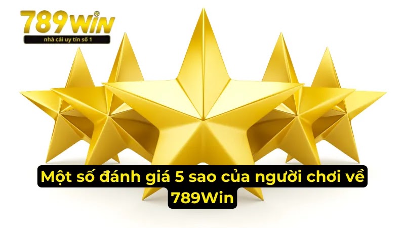hinh-anh-789win-nha-cai-voi-kho-game-da-dang-voi-ty-le-keo-hap-dn-2855-5