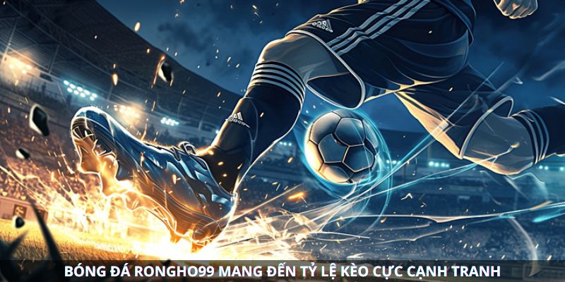hinh-anh-bong-da-rongho99--the-gioi-keo-cuoc-da-dang-cho-moi-bet-thu-4931-1