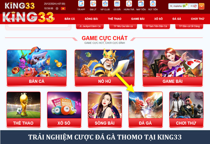 hinh-anh-da-ga-thomo-suc-hut-manh-liet-voi-cac-ke-thu-lao-lang-3497-3