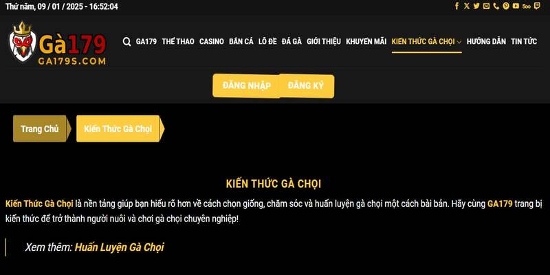 hinh-anh-nha-cai-ga179-trong-nam-2025-va-cai-nhin-tong-quan-2821-2