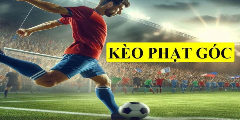 hinh-anh-kham-pha-chi-tiet-ve-keo-phat-goc-tai-nha-cai-thapcamtv-2149-0