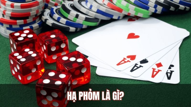 hinh-anh-tim-hieu-dac-diem-mau-chot-cua-nguoi-moi-bat-dau-choi-phom-3555-0