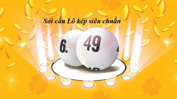 hinh-anh-chi-tiet-ve-soi-lo-cau-kep-tai-five88-ban-khong-nen-bo-lo-3510-3