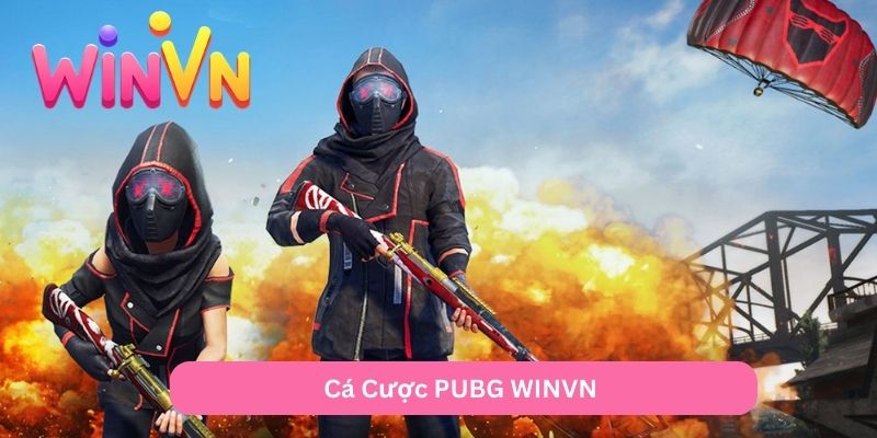 hinh-anh-ca-cuoc-pubg-winvn-pcmobile-soi-keo-pmpl-pgc--chinh-phuc-chicken-dinner-2025-3699-0