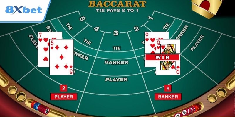 hinh-anh-nhung-hieu-lam-pho-bien-lien-quan-den-nha-cai-uy-tin-8xbet-5368-1