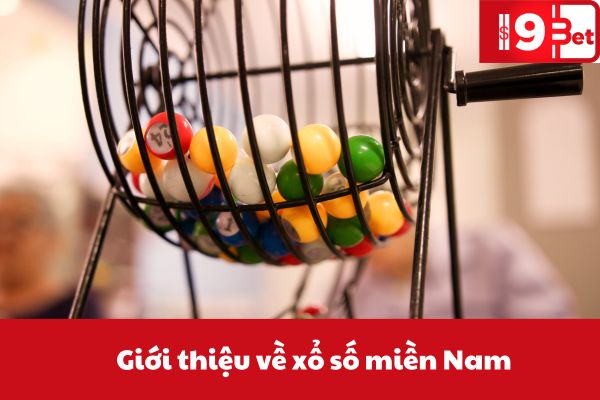 hinh-anh-ket-qua-xo-so-mien-nam-hom-nay-tai-99okwin-3184-0