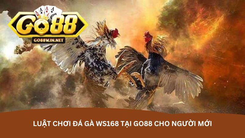 hinh-anh-da-ga-ws168-tai-go88--san-choi-dinh-cao-cho-dam-me-ke-thu-5434-1