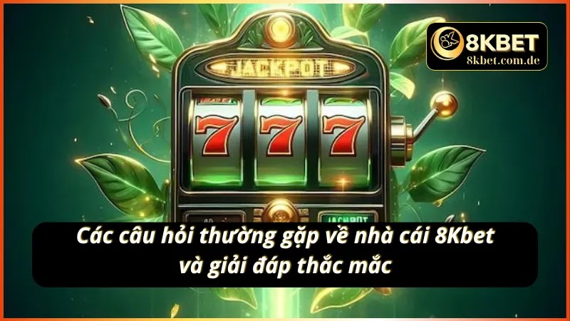 hinh-anh-trai-nghiem-8kbet-nha-cai-dinh-cao-uy-tin-hang-dau-viet-nam-4558-4